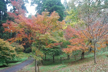 ローラー滑り台付近
