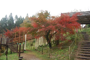 ローラー滑り台付近