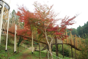 ローラー滑り台付近