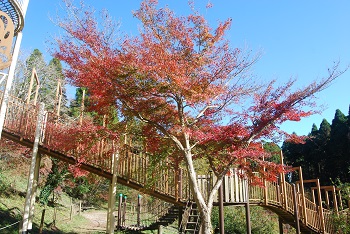 ローラー滑り台付近