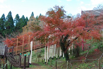 ローラー滑り台付近