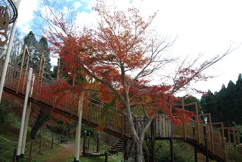 ローラー滑り台付近