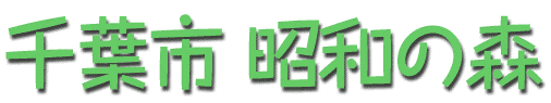 昭和の森ロゴ