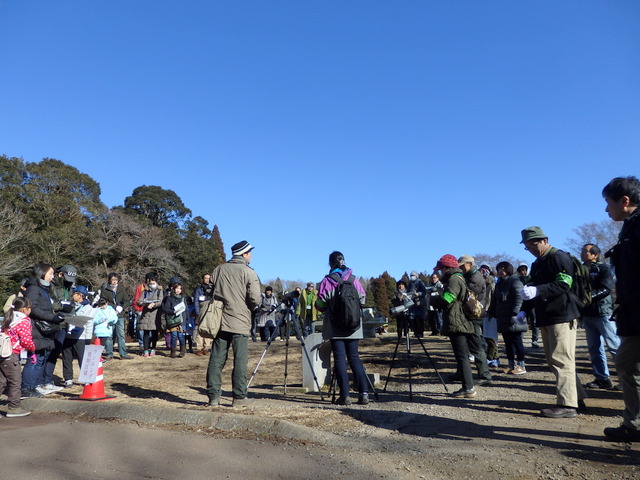 第313回「バードウォッチング最初の一歩」