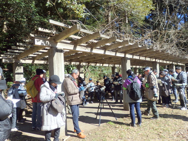 第313回「バードウォッチング最初の一歩」