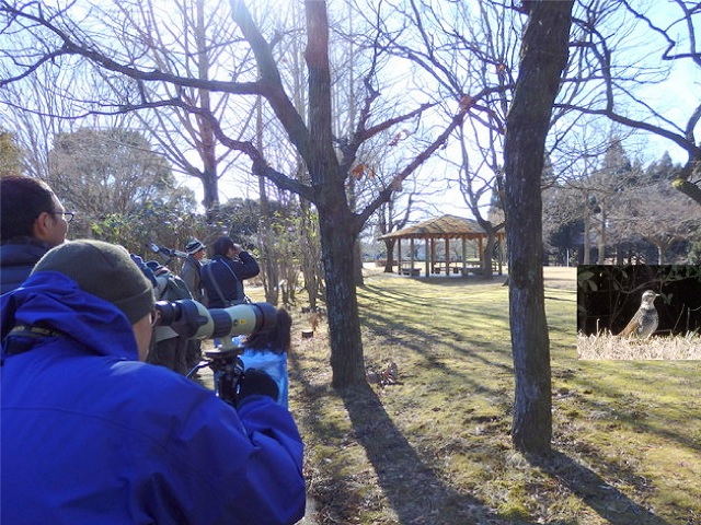 第313回「バードウォッチング最初の一歩」