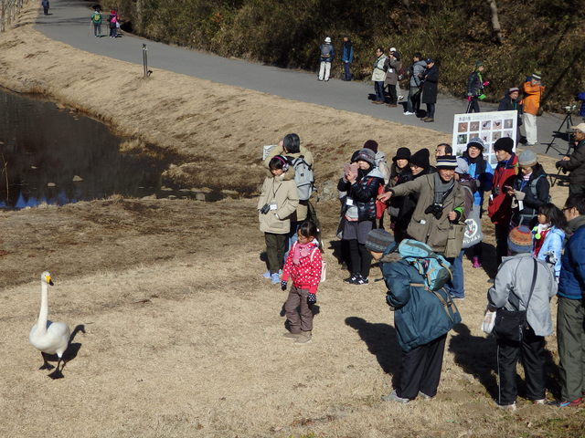 第313回「バードウォッチング最初の一歩」