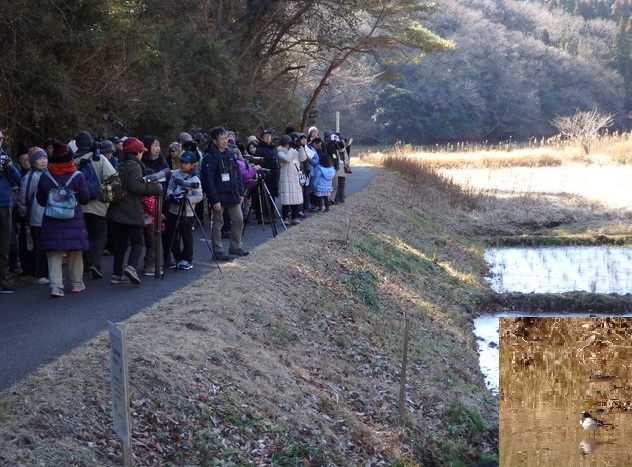 第313回「バードウォッチング最初の一歩」