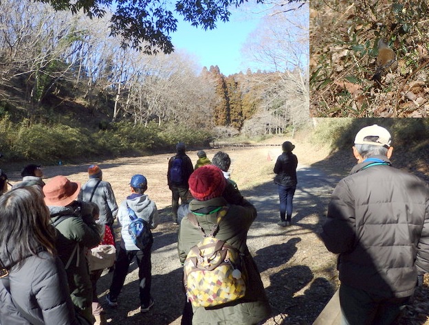 第313回「バードウォッチング最初の一歩」