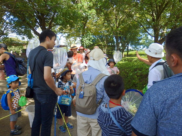 昭和の森自然観察第321回秋の虫となかよくなろう「トンボ」