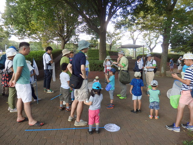 昭和の森自然観察秋の虫となかよくなろう「トンボ」