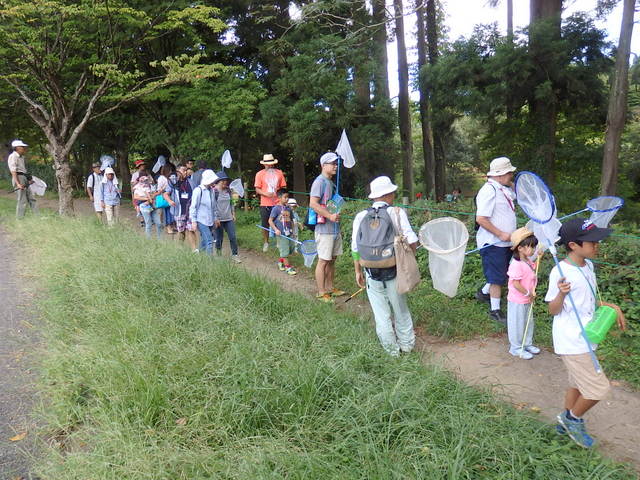 昭和の森自然観察秋の虫となかよくなろう「トンボ」