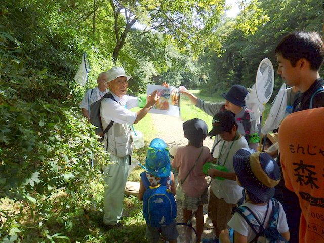 昭和の森自然観察秋の虫となかよくなろう「トンボ」