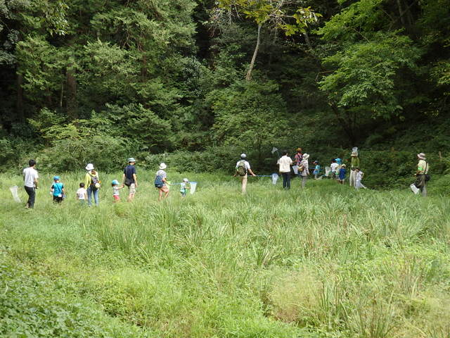 昭和の森自然観察秋の虫となかよくなろう「トンボ」