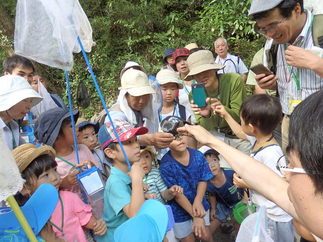 昭和の森自然観察秋の虫となかよくなろう「トンボ」