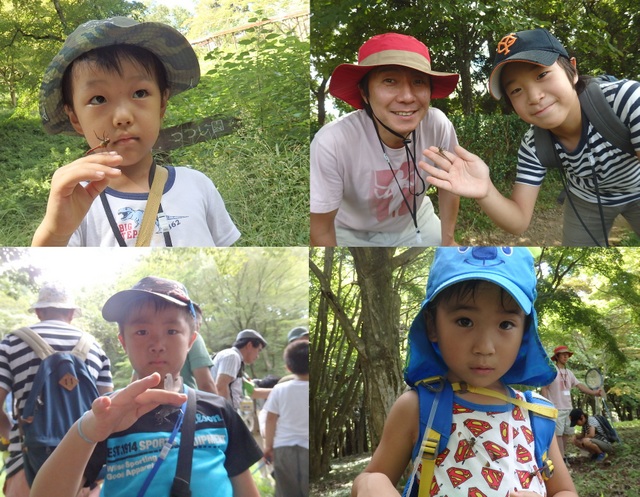 昭和の森自然観察秋の虫となかよくなろう「トンボ」