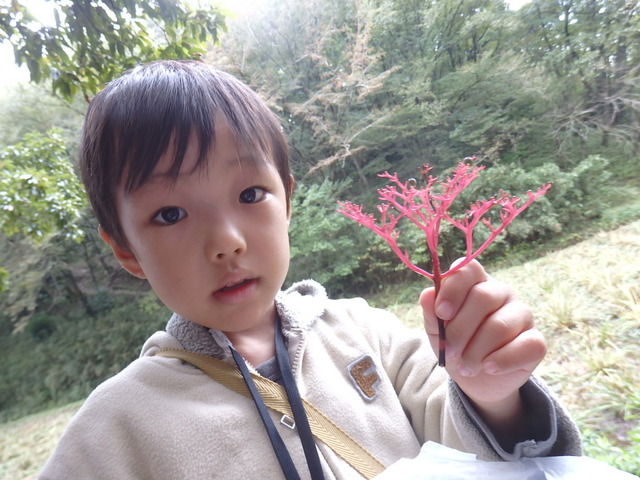 昭和の森自然観察第322回3時間コース「秋の小山町散歩」