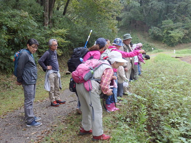 昭和の森自然観察第322回3時間コース「秋の小山町散歩」