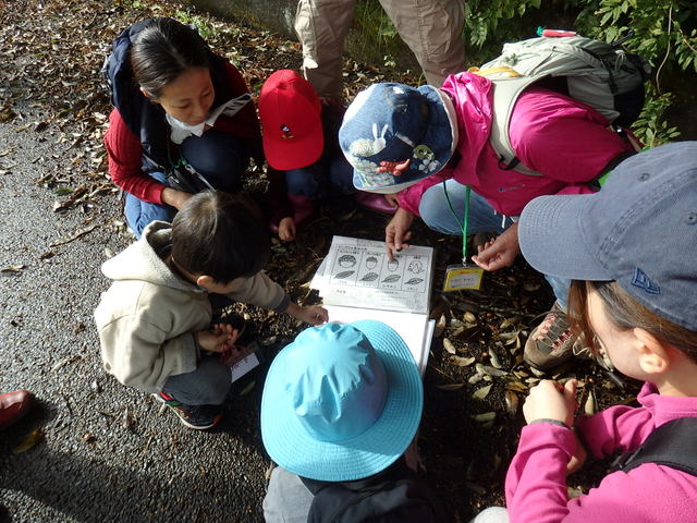 昭和の森自然観察第322回3時間コース「秋の小山町散歩」