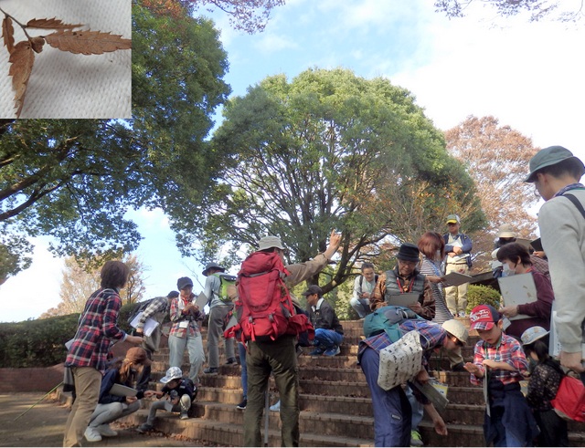 第323回昭和の森自然観察「鳥が運ぶ種」