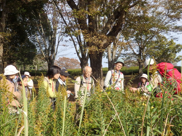 第323回昭和の森自然観察「鳥が運ぶ種」