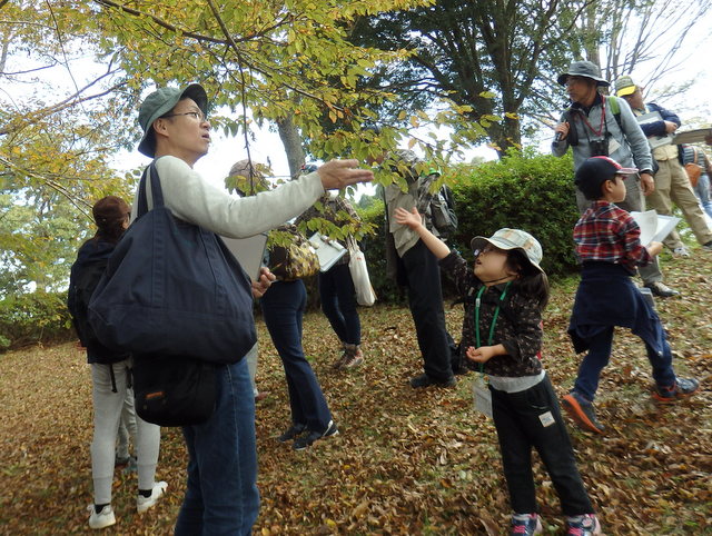 第323回昭和の森自然観察「鳥が運ぶ種」