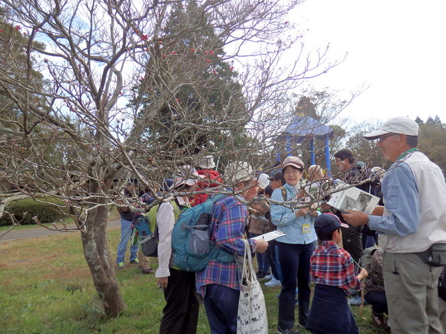 第323回昭和の森自然観察「鳥が運ぶ種」