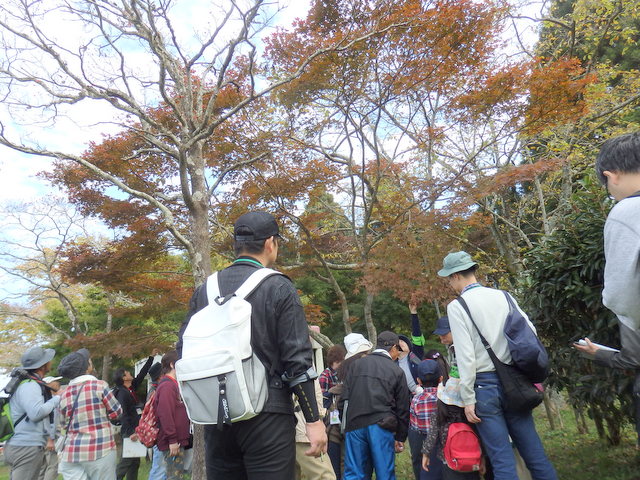 第323回昭和の森自然観察「鳥が運ぶ種」