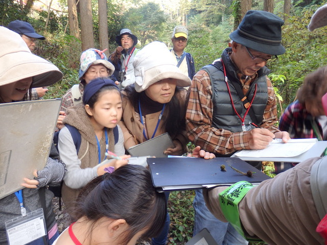 第323回昭和の森自然観察「鳥が運ぶ種」