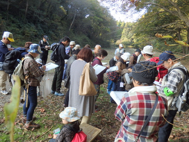 第323回昭和の森自然観察「鳥が運ぶ種」