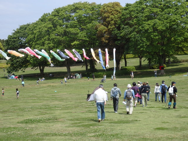 昭和の森自然観察会「土気城址方面を訪ねて」