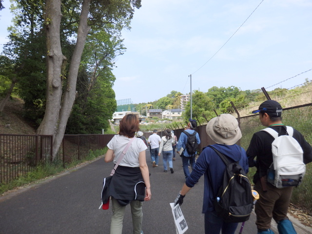 昭和の森自然観察会「土気城址方面を訪ねて」