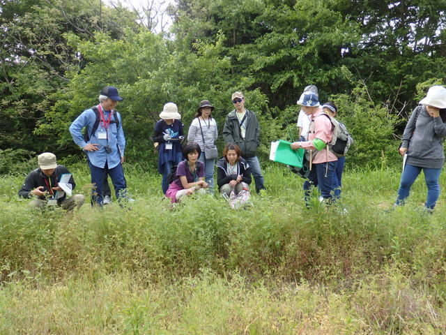 昭和の森自然観察会「土気城址方面を訪ねて」