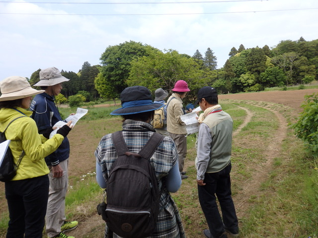昭和の森自然観察会「土気城址方面を訪ねて」