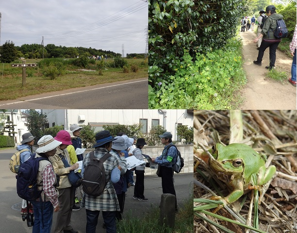 昭和の森自然観察会「土気城址方面を訪ねて」