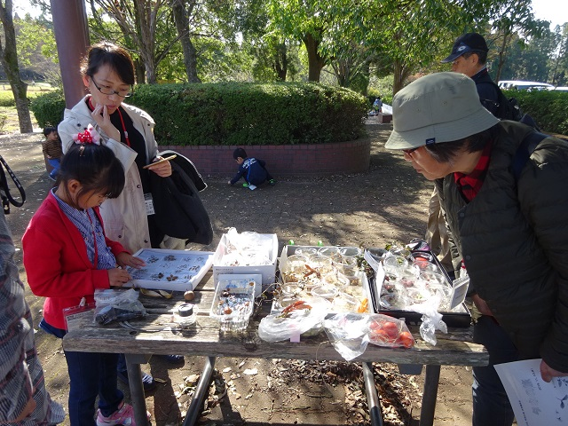 第335回昭和の森自然観察「タネの旅」