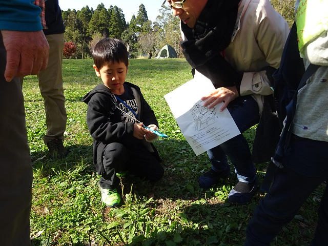 第335回昭和の森自然観察「タネの旅」