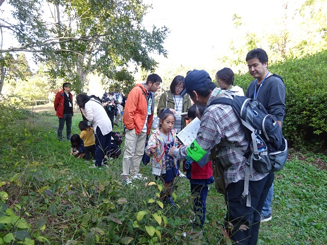 第335回昭和の森自然観察「タネの旅」