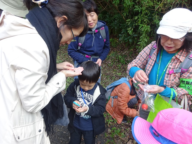 第335回昭和の森自然観察「タネの旅」