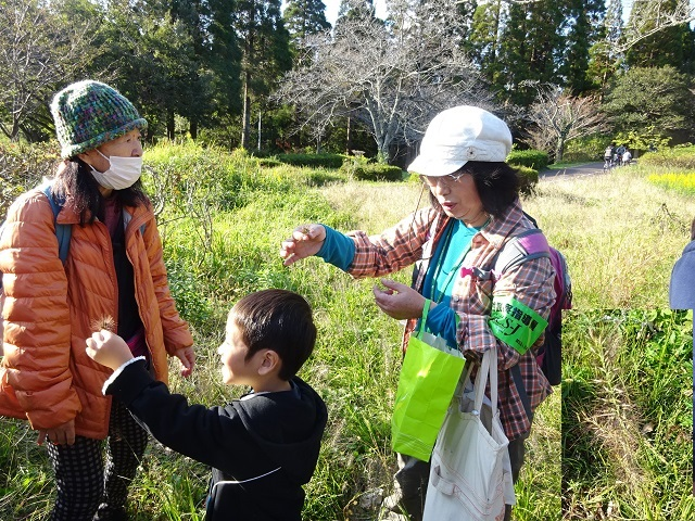 第335回昭和の森自然観察「タネの旅」