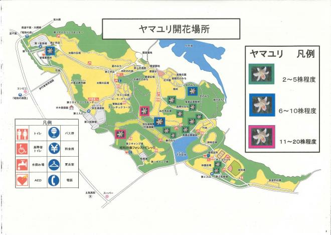 ヤマユリマップ