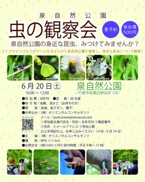 2026_虫の観察会