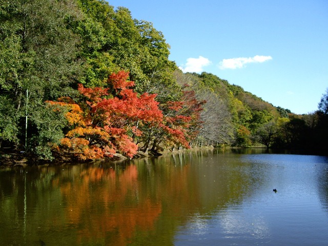 下の池の紅葉