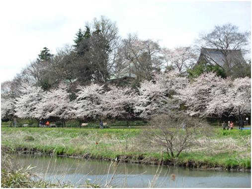 花島観音緑地保全地区