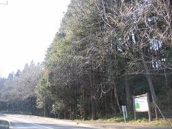 東千葉近郊緑地特別保全区域