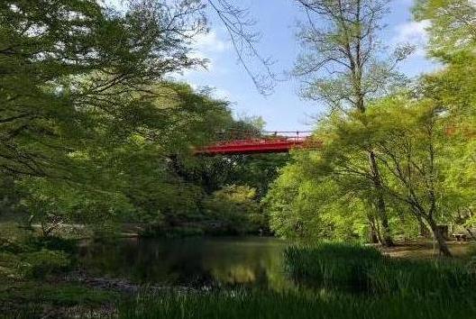 いずみ橋施行後