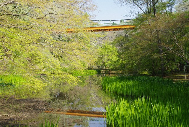 いずみ橋施行前