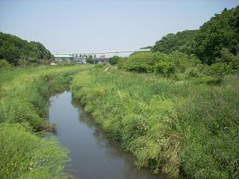 縄文の森特別緑地保全地区