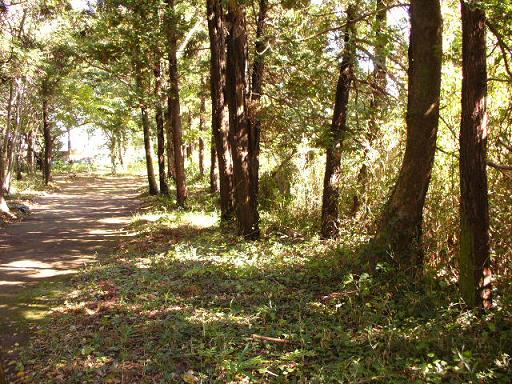 加曽利市民の森