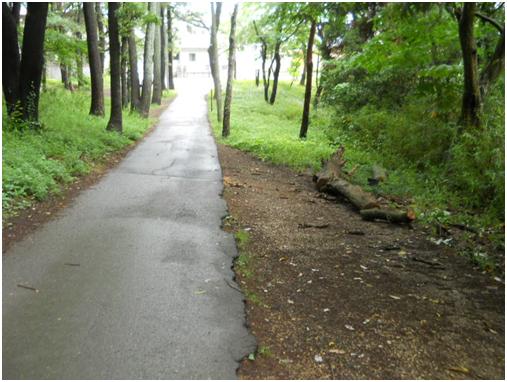 川戸緑地保全地区